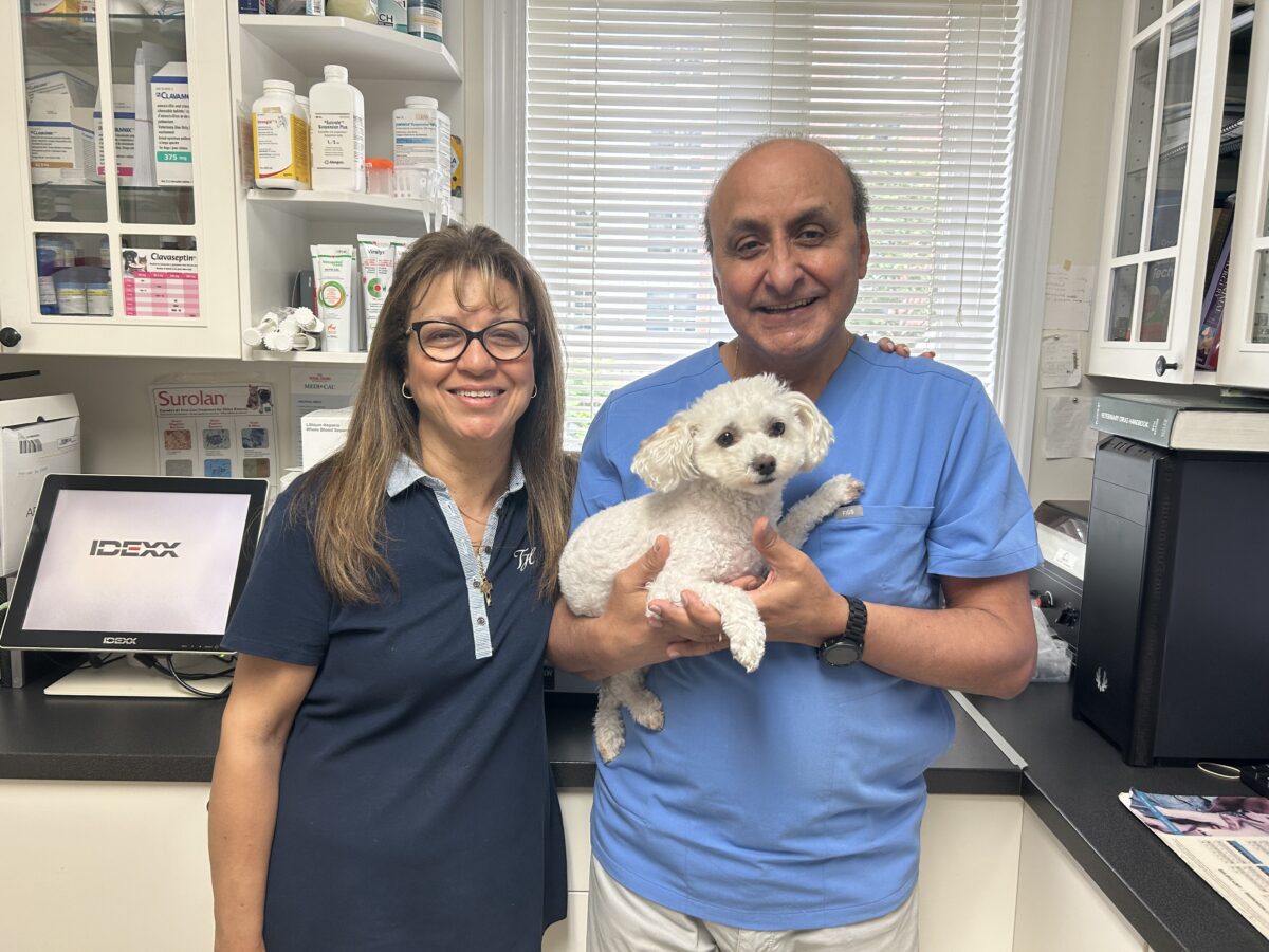 Doctor Ramzy and his wife and clinic manager, Medleine holding Lilah the patient at Yonge Church Animal Clinic.